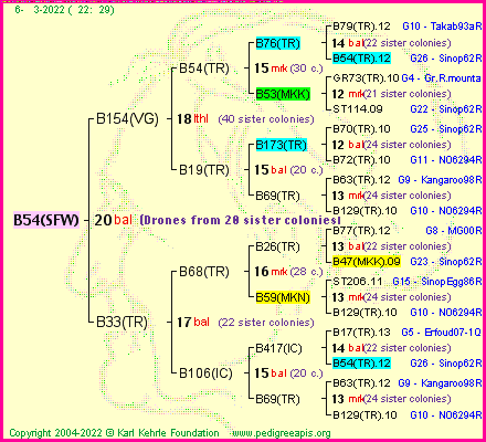 Pedigree of B54(SFW) :
four generations presented
it's temporarily unavailable, sorry!