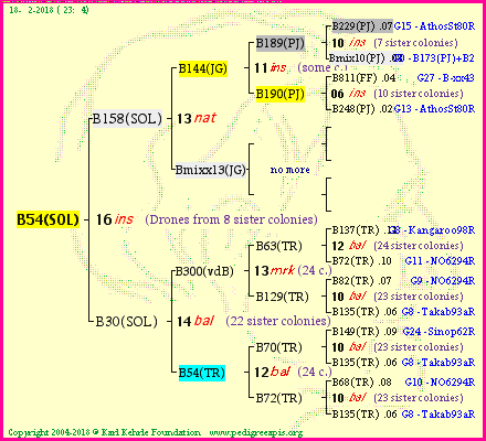 Pedigree of B54(SOL) :
four generations presented<br />it's temporarily unavailable, sorry!