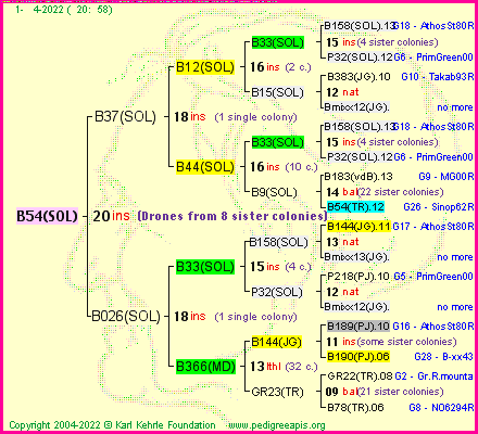 Pedigree of B54(SOL) :
four generations presented
it's temporarily unavailable, sorry!