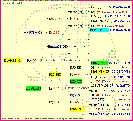 Pedigree of B54(THK) :
four generations presented<br />it's temporarily unavailable, sorry!