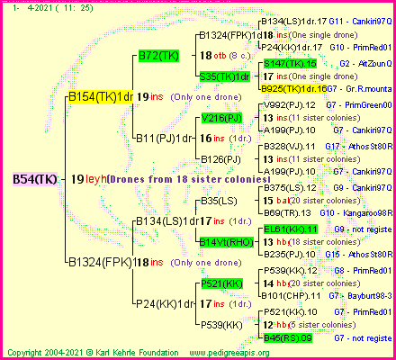 Pedigree of B54(TK) :
four generations presented
it's temporarily unavailable, sorry!