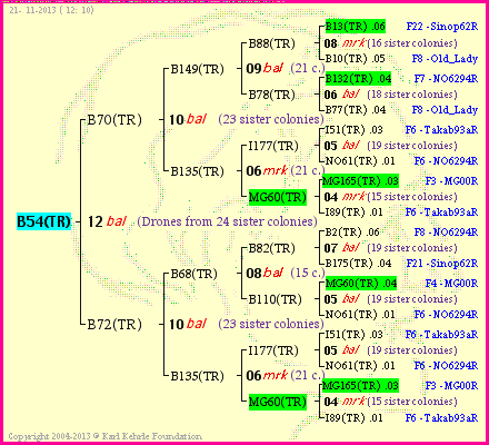 Pedigree of B54(TR) :
four generations presented<br />it's temporarily unavailable, sorry!