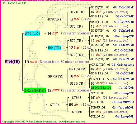 Pedigree of B54(TR) :
four generations presented
it's temporarily unavailable, sorry!