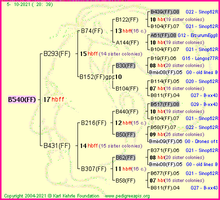 Pedigree of B540(FF) :
four generations presented
it's temporarily unavailable, sorry!