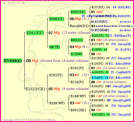 Pedigree of B540(KK) :
four generations presented