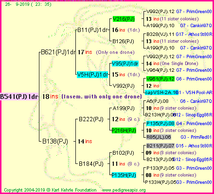 Pedigree of B541(PJ)1dr :
four generations presented
it's temporarily unavailable, sorry!