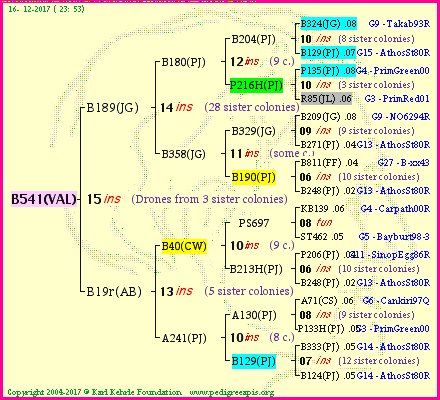 Pedigree of B541(VAL) :
four generations presented