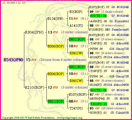 Pedigree of B543(JPN) :
four generations presented<br />it's temporarily unavailable, sorry!