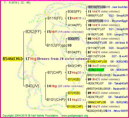 Pedigree of B546(CHU) :
four generations presented
it's temporarily unavailable, sorry!