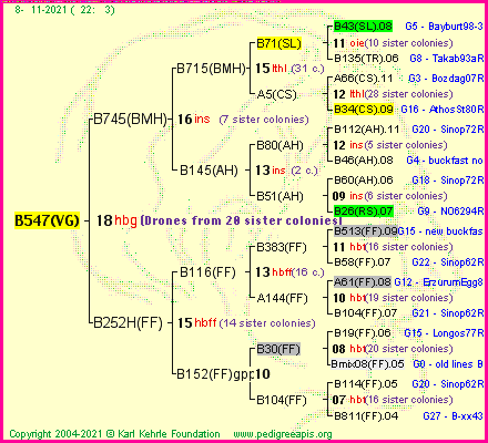 Pedigree of B547(VG) :
four generations presented
it's temporarily unavailable, sorry!