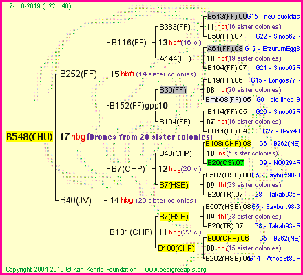 Pedigree of B548(CHU) :
four generations presented
it's temporarily unavailable, sorry!