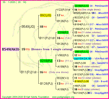 Pedigree of B549(AKO) :
four generations presented<br />it's temporarily unavailable, sorry!