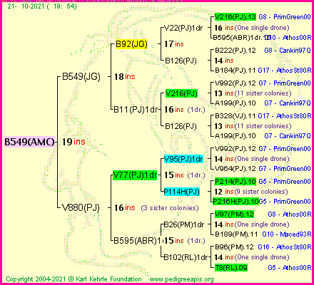 Pedigree of B549(AMC) :
four generations presented
it's temporarily unavailable, sorry!