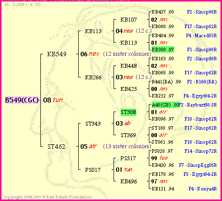 Pedigree of B549(CGC) :
four generations presented