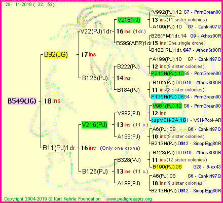 Pedigree of B549(JG) :
four generations presented
it's temporarily unavailable, sorry!