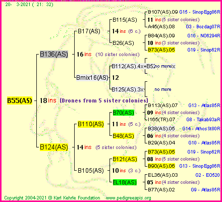 Pedigree of B55(AS) :
four generations presented
it's temporarily unavailable, sorry!