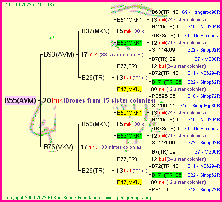 Pedigree of B55(AVM) :
four generations presented
it's temporarily unavailable, sorry!