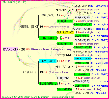 Pedigree of B55(GKT) :
four generations presented
it's temporarily unavailable, sorry!