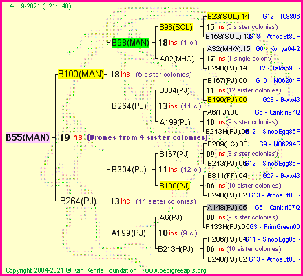 Pedigree of B55(MAN) :
four generations presented
it's temporarily unavailable, sorry!