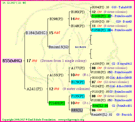 Pedigree of B55(MHG) :
four generations presented