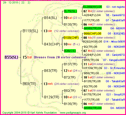 Pedigree of B55(SL) :
four generations presented<br />it's temporarily unavailable, sorry!