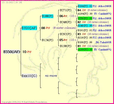 Pedigree of B550(JAF) :
four generations presented<br />it's temporarily unavailable, sorry!