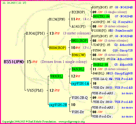 Pedigree of B551(JPN) :
four generations presented