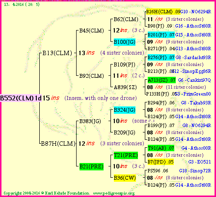 Pedigree of B552(CLM)1dr :
four generations presented