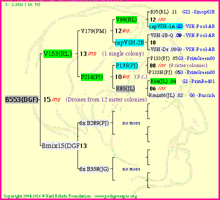 Pedigree of B553(DGF) :
four generations presented