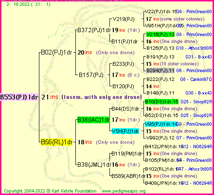 Pedigree of B553(PJ)1dr :
four generations presented
it's temporarily unavailable, sorry!