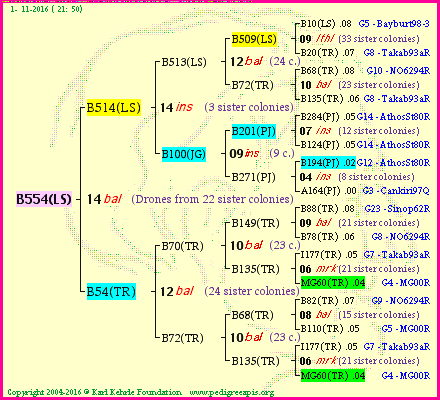 Pedigree of B554(LS) :
four generations presented<br />it's temporarily unavailable, sorry!