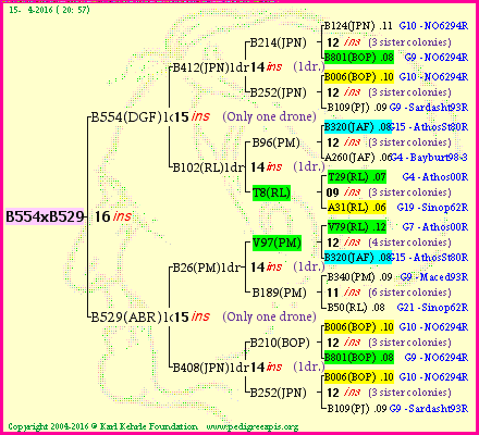 Pedigree of B554xB529 :
four generations presented