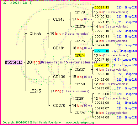 Pedigree of B555(CL) :
four generations presented
it's temporarily unavailable, sorry!