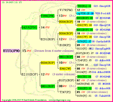 Pedigree of B555(JPN) :
four generations presented