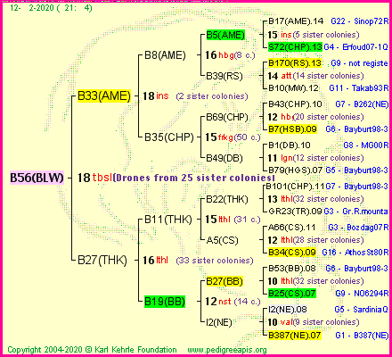 Pedigree of B56(BLW) :
four generations presented<br />it's temporarily unavailable, sorry!