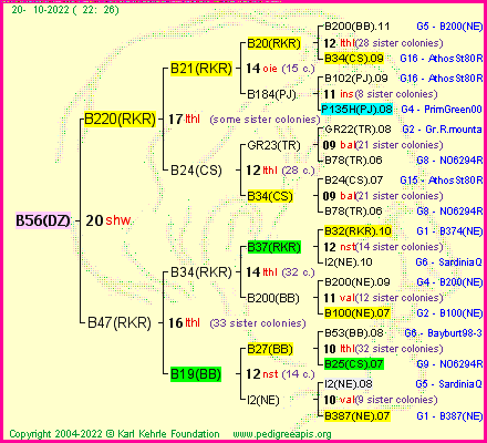 Pedigree of B56(DZ) :
four generations presented
it's temporarily unavailable, sorry!