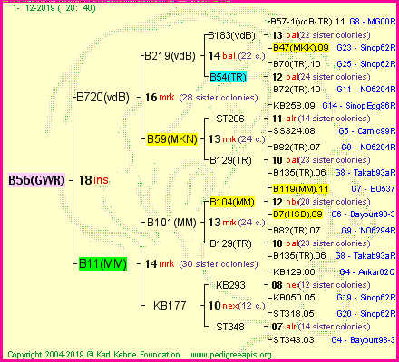 Pedigree of B56(GWR) :
four generations presented
it's temporarily unavailable, sorry!