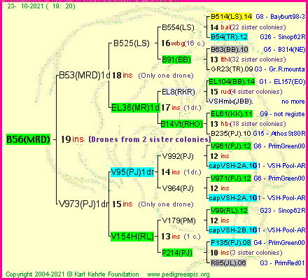 Pedigree of B56(MRD) :
four generations presented
it's temporarily unavailable, sorry!