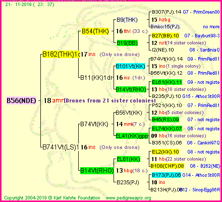 Pedigree of B56(NDE) :
four generations presented
it's temporarily unavailable, sorry!