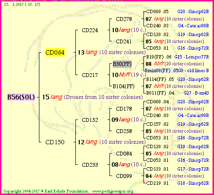 Pedigree of B56(SOL) :
four generations presented<br />it's temporarily unavailable, sorry!