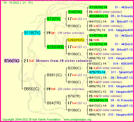 Pedigree of B56(TK) :
four generations presented
it's temporarily unavailable, sorry!