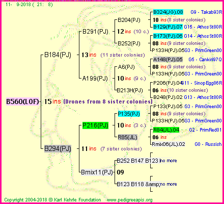 Pedigree of B560(LOF) :
four generations presented