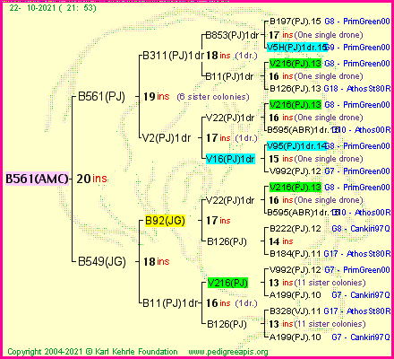 Pedigree of B561(AMC) :
four generations presented
it's temporarily unavailable, sorry!