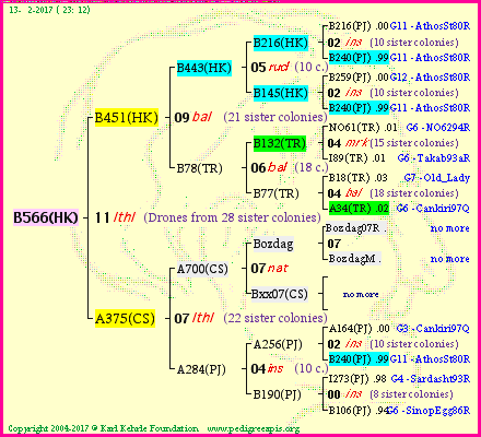 Pedigree of B566(HK) :
four generations presented