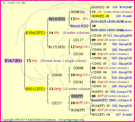 Pedigree of B567(BS) :
four generations presented
it's temporarily unavailable, sorry!