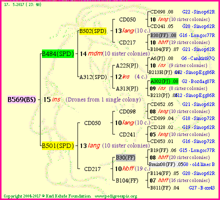 Pedigree of B569(BS) :
four generations presented<br />it's temporarily unavailable, sorry!