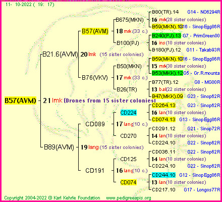 Pedigree of B57(AVM) :
four generations presented
it's temporarily unavailable, sorry!