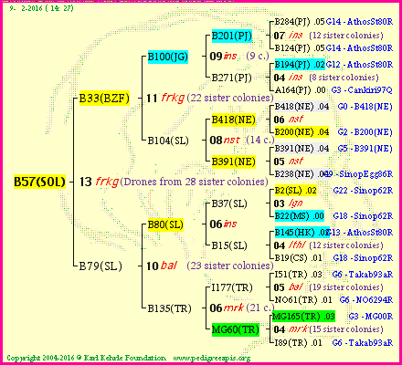 Pedigree of B57(SOL) :
four generations presented