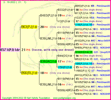 Pedigree of B571(PJ)1dr :
four generations presented
it's temporarily unavailable, sorry!