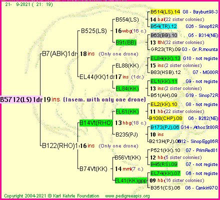 Pedigree of B5712(LS)1dr :
four generations presented
it's temporarily unavailable, sorry!